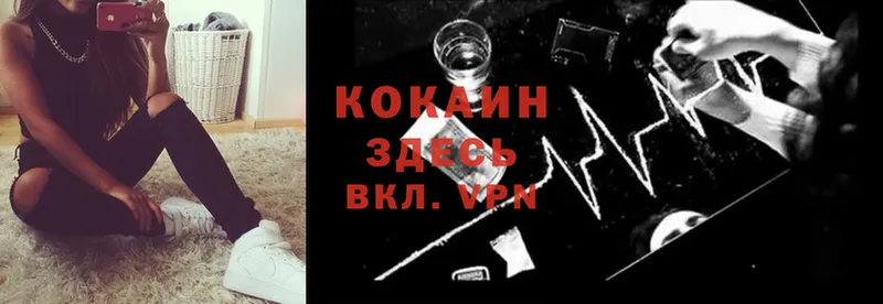 Cocaine Fish Scale  Волгоград 